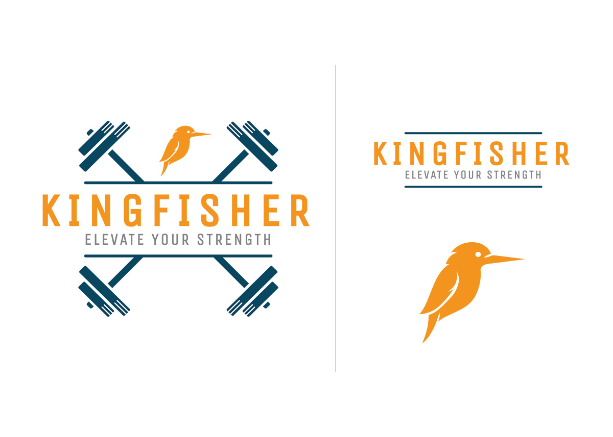 Kingfisher Logo Unisex t-shirt — Kingfisher DC